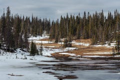 View Of The Fir Forest In Spring Time. Taiga Landscape In The Russian North. Stock Images View Of The Fir Forest In Spring Time. Taiga Landscape In The Russian North. Stock Images