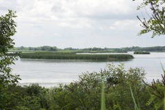 View On Lake Tisza Royalty Free Stock Image