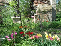 A view of our garden in 2013 royalty free stock images A view of our garden in 2013 royalty free stock images