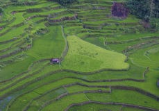 Rice terraces in Banaue the Philippines Royalty Free Stock Photo Rice terraces in Banaue the Philippines Royalty Free Stock Photo