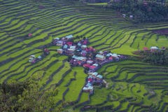 Rice terraces in Banaue the Philippines Stock Image Rice terraces in Banaue the Philippines Stock Image