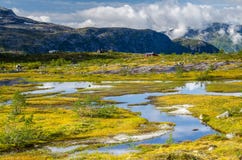 View of small blue lakes surrounded by yellow and green grass with red building in background on the Trolltunga trail stock image View of small blue lakes surrounded by yellow and green grass with red building in background on the Trolltunga trail stock image
