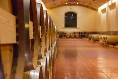 View of Stacked Wood Wine barrels stock photos View of Stacked Wood Wine barrels stock photos