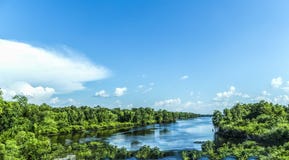 view to the river Mississippi with its wide river bed and untouched nature stock image view to the river Mississippi with its wide river bed and untouched nature stock image