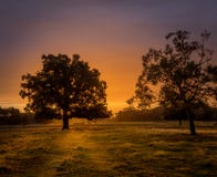 A view of trees silhouetted against a sunrise royalty free stock image A view of trees silhouetted against a sunrise royalty free stock image