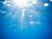 View Under The Ocean Just Before The Surface Stock Photo View Under The Ocean Just Before The Surface Stock Photo