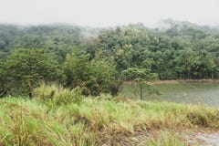 View of water reservoir for hydroelectric dam located in Malaysia. Lush vegetation,cloudy foggy mountain and dam wall in the royalty free stock photo View of water reservoir for hydroelectric dam located in Malaysia. Lush vegetation,cloudy foggy mountain and dam wall in the royalty free stock photo
