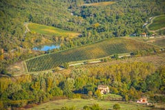 Vignes en Toscane image libre de droits Vignes en Toscane image libre de droits