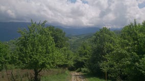 Village road in the summer day royalty free stock image Village road in the summer day royalty free stock image