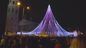 Vilnius, Lituânia - a árvore de Natal e decorado a cidade de Vilnius, pessoa comemora o começo de Chr vídeos de arquivo Vilnius, Lituânia - a árvore de Natal e decorado a cidade de Vilnius, pessoa comemora o começo de Chr vídeos de arquivo