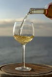 Vin blanc de versement d'ap?ritif de serveur en verres sur la vue ext?rieure de mer de witn de tessace photo stock Vin blanc de versement d'ap?ritif de serveur en verres sur la vue ext?rieure de mer de witn de tessace photo stock