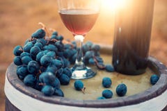Vin rouge et raisins frais photo stock Vin rouge et raisins frais photo stock