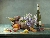 Vine And Bottle Of Wine Royalty Free Stock Image