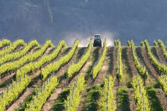 Vineyard Tractor, Okanagan, BC. Royalty Free Stock Photography Vineyard Tractor, Okanagan, BC. Royalty Free Stock Photography