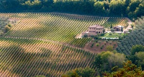 Vineyard With House Tuscany, Italy Stock Image Vineyard With House Tuscany, Italy Stock Image