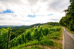 Vineyards along the South Styrian Wine Road in autumn, Austria Stock Photos Vineyards along the South Styrian Wine Road in autumn, Austria Stock Photos