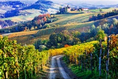 Vineyards and castles of Piemonte in autumn colors. North of Italy stock photo Vineyards and castles of Piemonte in autumn colors. North of Italy stock photo