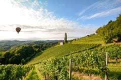 Vingårdar med ballongen för varm luft nära en vinodling för skörden i det växande området för tuscany vin, Italien arkivfoton Vingårdar med ballongen för varm luft nära en vinodling för skörden i det växande området för tuscany vin, Italien arkivfoton