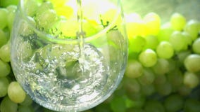 Vinho branco que está sendo pored em um vidro contra o grupo de uvas verdes Conceito do Winemaking Fim super do movimento lento a filme Vinho branco que está sendo pored em um vidro contra o grupo de uvas verdes Conceito do Winemaking Fim super do movimento lento a filme