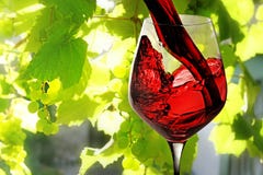 Vinho vermelho fotos de stock Vinho vermelho fotos de stock