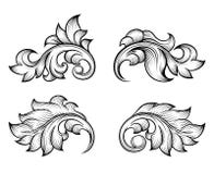 Vintage baroque scroll leaf set in engraving style Stock Image Vintage baroque scroll leaf set in engraving style Stock Image