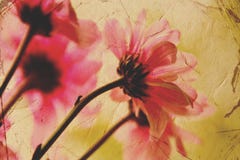Vintage floral card