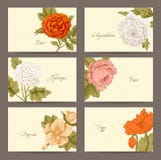 Vintage Floral Horizontal Business Cards Royalty Free Stock Photography Vintage Floral Horizontal Business Cards Royalty Free Stock Photography