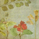 Vintage floral texture background Vector Illustration Vintage floral texture background Vector Illustration