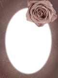 Vintage Frame With Rose Royalty Free Stock Images Vintage Frame With Rose Royalty Free Stock Images