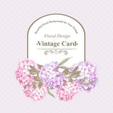 Vintage Greeting Card with Hydrangea and Peonies royalty free illustration Vintage Greeting Card with Hydrangea and Peonies royalty free illustration