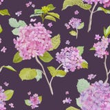 Vintage Hydrangea Background royalty free illustration Vintage Hydrangea Background royalty free illustration