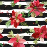 Vintage Poinsettia Flowers Background - Seamless Christmas Pattern royalty free illustration Vintage Poinsettia Flowers Background - Seamless Christmas Pattern royalty free illustration