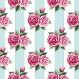 Vintage Seamless Pattern With Roses Stock Photos