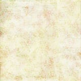Vintage shabby chic green rose background texture royalty free stock image Vintage shabby chic green rose background texture royalty free stock image