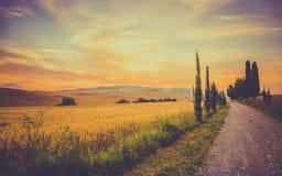Vintage Tuscan Landscape Royalty Free Stock Photography Vintage Tuscan Landscape Royalty Free Stock Photography