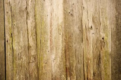 Vintage Wood Texture Royalty Free Stock Images Vintage Wood Texture Royalty Free Stock Images