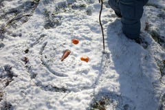 vinter för blommasnowtid royaltyfria bilder vinter för blommasnowtid royaltyfria bilder