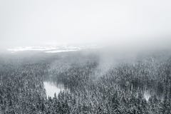 Vintern ?r kommande arkivfoton Vintern ?r kommande arkivfoton