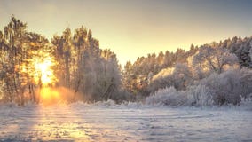 Vinternaturlandskap i ljus soluppgång Frostiga och snöig träd på flodkust i guld- livligt solljus royaltyfri foto Vinternaturlandskap i ljus soluppgång Frostiga och snöig träd på flodkust i guld- livligt solljus royaltyfri foto