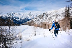 Vintersport: manskidåkning i pulversnö arkivbilder Vintersport: manskidåkning i pulversnö arkivbilder