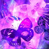 Violet Butterfly Grunge
