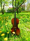 A violin and a meadow full of dandelions
