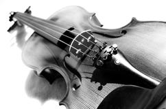 Violino in bianco e nero. Violino in bianco e nero.