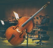 Violoncellmusikinstrument på en etapporkesterkonsert royaltyfri fotografi Violoncellmusikinstrument på en etapporkesterkonsert royaltyfri fotografi