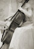 Violoncelo de la vendimia imagenes de archivo Violoncelo de la vendimia imagenes de archivo