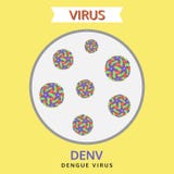 Virus de dengue, virus del denv, vector libre illustration Virus de dengue, virus del denv, vector libre illustration