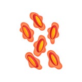 Virus del vaiolo sotto il microscopio Microrganismo pericoloso Tema di microbiologia Progettazione piana di vettore illustrazione vettoriale Virus del vaiolo sotto il microscopio Microrganismo pericoloso Tema di microbiologia Progettazione piana di vettore illustrazione vettoriale