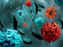 Virus et globules sanguins Photos stock Virus et globules sanguins Photos stock