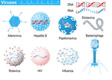 virus RNA och DNA Medicinsk Infographic uppsättning med symboler av viruen Royaltyfri Fotografi virus RNA och DNA Medicinsk Infographic uppsättning med symboler av viruen Royaltyfri Fotografi