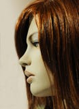 Visage d'un simulacre photo libre de droits Visage d'un simulacre photo libre de droits